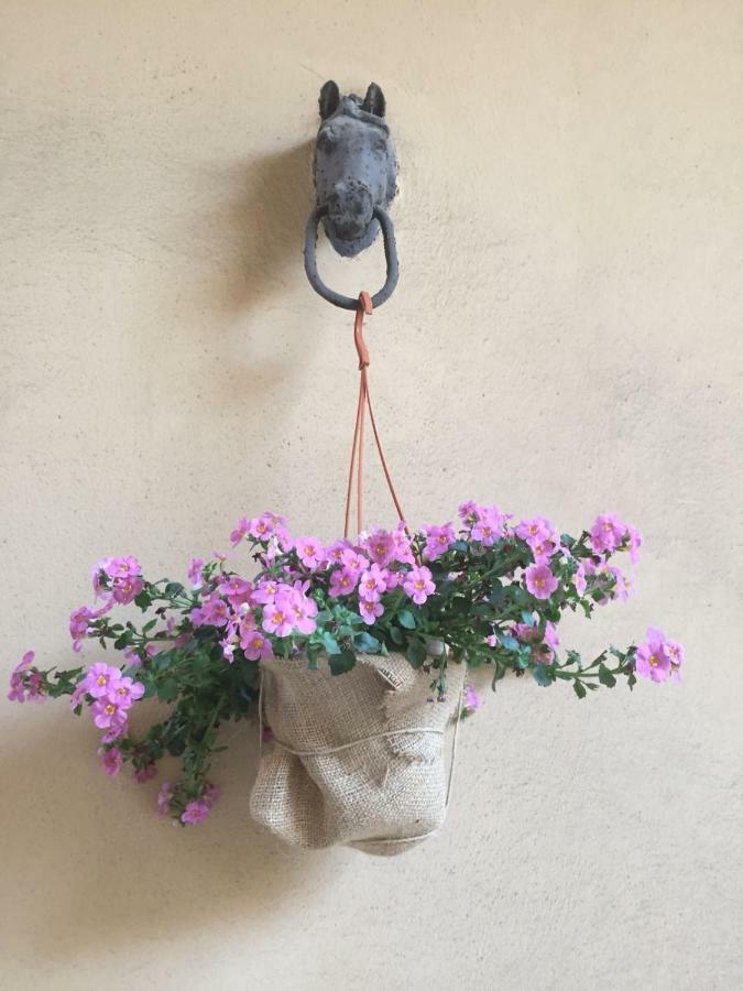 B&B Sabini Palace Altamura Extérieur photo